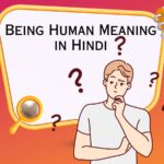 Being Human Meaning in Hindi