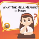 What The Hell Meaning in Hindi